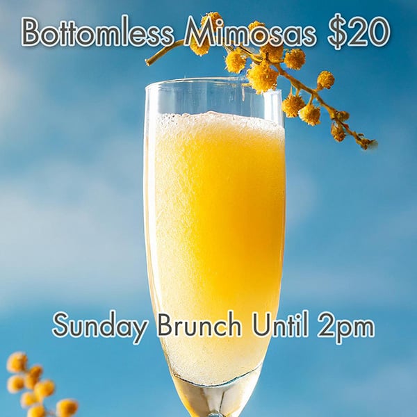 Sunday brunch $20 mimosas